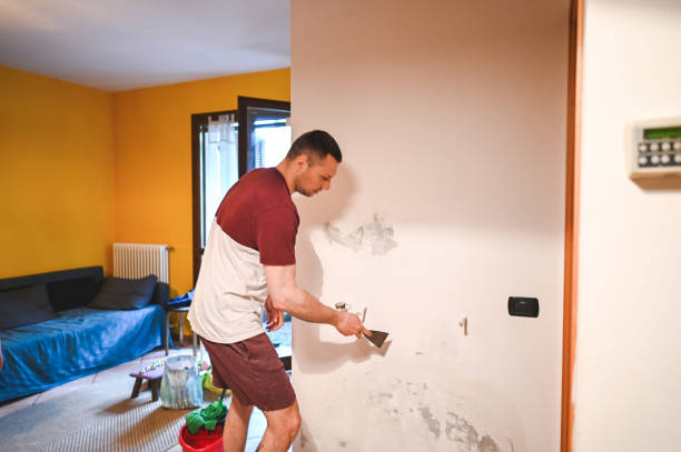 Best Commercial Mold Removal  in Brady, TX