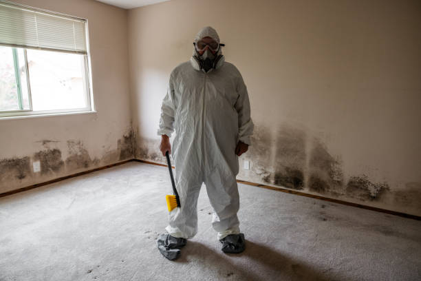 Best Mold Testing  in Brady, TX